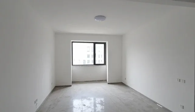 内容优化中视觉呈现的选型与应用建议